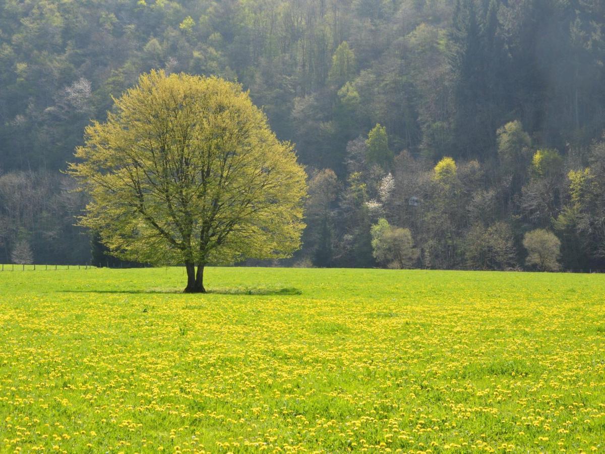Independant Gite At The Calm Way In The Center Houffalize Luaran gambar