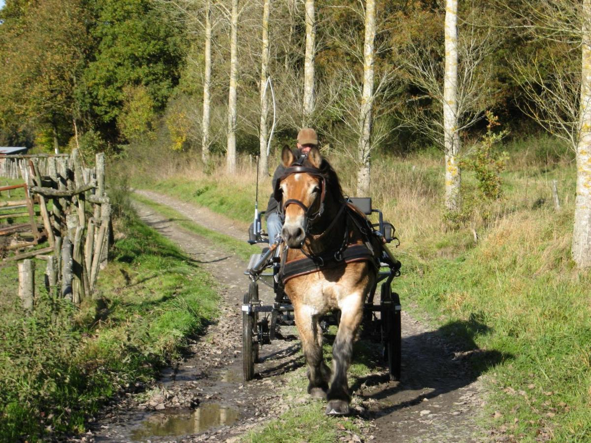 Independant Gite At The Calm Way In The Center Houffalize Luaran gambar